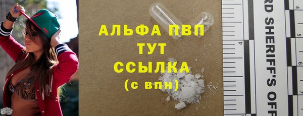 ECSTASY Коряжма