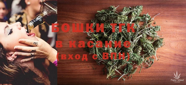 PSILOCYBIN Нестеровская