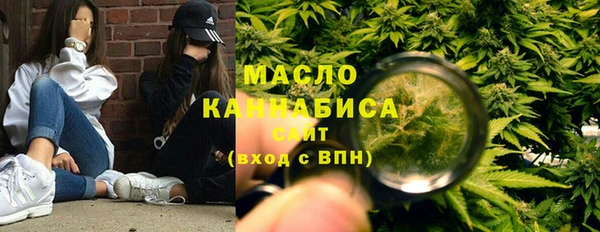 дмт Костерёво